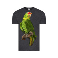Vintage Black New Zealand Paraket Parrot Vintage Tee - LillyAllenDesigns