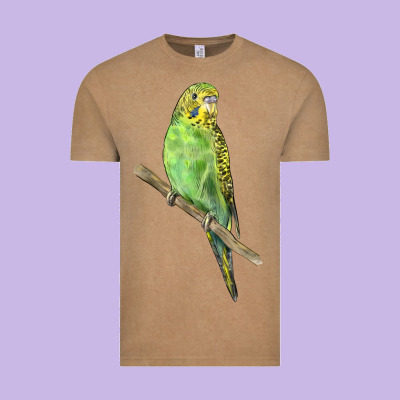 Budgeriar Bird Parrot Vintage Tee Designed By Lillyallendesigns