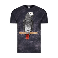 Cloud Black African Gray Parrot Bird Vintage Tee - LillyAllenDesigns