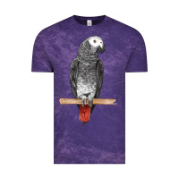 Cloud Purple African Gray Parrot Bird Vintage Tee - LillyAllenDesigns