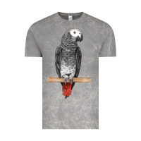 Cloud Rock African Gray Parrot Bird Vintage Tee - LillyAllenDesigns