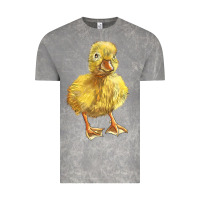 Cloud Rock Baby Duck Vintage Tee - LillyAllenDesigns