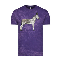 Cloud Purple Andalusian Donkey Vintage Tee - LillyAllenDesigns