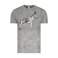 Cloud Rock Andalusian Donkey Vintage Tee - LillyAllenDesigns
