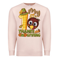 Pale Pink My 1st Thanksgiving with turkey Premium Sweatshirt - NancyCooperArtShop
