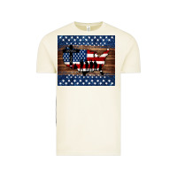 Vintage Arctic god bless america american flag tumbler Vintage Tee - Jasminsmagicworld