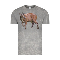 Cloud Rock Red Brocket Buck Deer Vintage Tee - LillyAllenDesigns