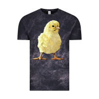 Cloud Black Chick Vintage Tee - LillyAllenDesigns