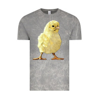 Cloud Rock Chick Vintage Tee - LillyAllenDesigns