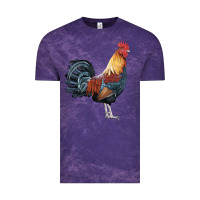 Cloud Purple New Hampshire Red Rooster Vintage Tee - LillyAllenDesigns