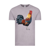 Vintage Zinc New Hampshire Red Rooster Vintage Tee - LillyAllenDesigns