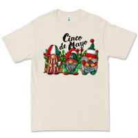 Cinco De Mayo Mexican Flag Gnomes Premium Tee | Teevron