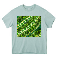 Arona St. Patrick's Day leopard tumbler Heavy Core Tee - Neo Western