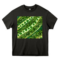 Asphalt St. Patrick's Day leopard tumbler Heavy Core Tee - Neo Western