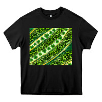 St. Patrick's Day Leopard Tumbler Heavy Core Tee | Teevron