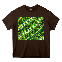Chocolate Brown St. Patrick's Day leopard tumbler Heavy Core Tee - Neo Western