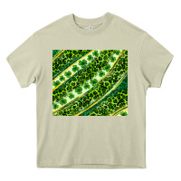 Mossy St. Patrick's Day leopard tumbler Heavy Core Tee - Neo Western