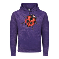 Cloud Purple ladybug Vintage Hoodie - BarkalooDesign