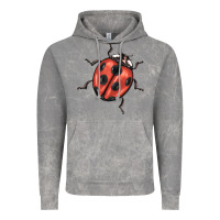 Cloud Rock ladybug Vintage Hoodie - BarkalooDesign