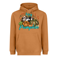 Meerkat Hey Pumpkin Heavyweight Hoodie - texasbilliewilder