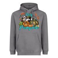 Storm Hey Pumpkin Heavyweight Hoodie - texasbilliewilder