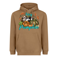 Toasted Coconut Hey Pumpkin Heavyweight Hoodie - texasbilliewilder