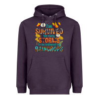 Plum I've Survived Too Many Storms Heavyweight Hoodie - texasbilliewilder