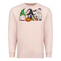 Pale Pink Halloween gnomes Premium Sweatshirt - NancyCooperArtShop
