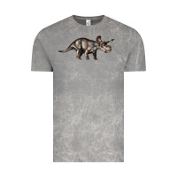 Cloud Rock Triceratops Horridus Vintage Tee - LillyAllenDesigns