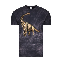 Cloud Black Brachiosaurus Vintage Tee - LillyAllenDesigns