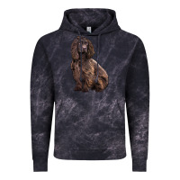 Cloud Black Boykin Spaniel Dog Vintage Hoodie - LillyAllenDesigns