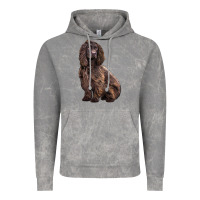 Cloud Rock Boykin Spaniel Dog Vintage Hoodie - LillyAllenDesigns