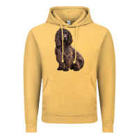 Vintage Mustard Boykin Spaniel Dog Vintage Hoodie - LillyAllenDesigns