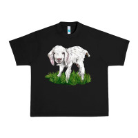 Black Baby Angora Goat Urban Heavy Tee - LillyAllenDesigns