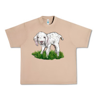 Burro Baby Angora Goat Urban Heavy Tee - LillyAllenDesigns
