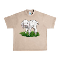 French Oak Baby Angora Goat Urban Heavy Tee - LillyAllenDesigns