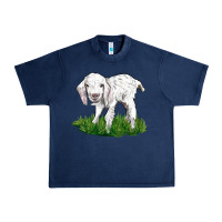 Navy Baby Angora Goat Urban Heavy Tee - LillyAllenDesigns