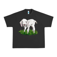 Pigment Black Baby Angora Goat Urban Heavy Tee - LillyAllenDesigns
