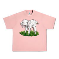 Salmon Baby Angora Goat Urban Heavy Tee - LillyAllenDesigns