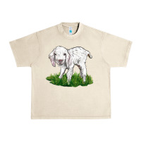 Sandshell Baby Angora Goat Urban Heavy Tee - LillyAllenDesigns