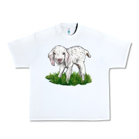 White Baby Angora Goat Urban Heavy Tee - LillyAllenDesigns