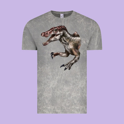 Spinosaurus Face Vintage Tee Designed By Lillyallendesigns
