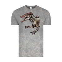Cloud Rock Spinosaurus Face Vintage Tee - LillyAllenDesigns