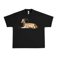 Black Spanish Goat Urban Heavy Tee - LillyAllenDesigns