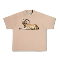 Burro Spanish Goat Urban Heavy Tee - LillyAllenDesigns