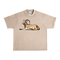 French Oak Spanish Goat Urban Heavy Tee - LillyAllenDesigns