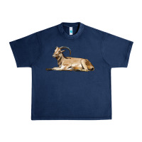 Navy Spanish Goat Urban Heavy Tee - LillyAllenDesigns