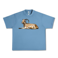 Pebble Blue Spanish Goat Urban Heavy Tee - LillyAllenDesigns