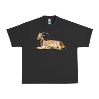 Pigment Black Spanish Goat Urban Heavy Tee - LillyAllenDesigns