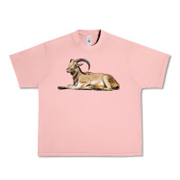 Salmon Spanish Goat Urban Heavy Tee - LillyAllenDesigns